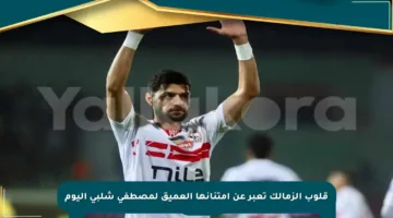 قلوب الزمالك تعبر عن امتنانها العميق لمصطفى شلبي اليوم
